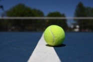 资讯4